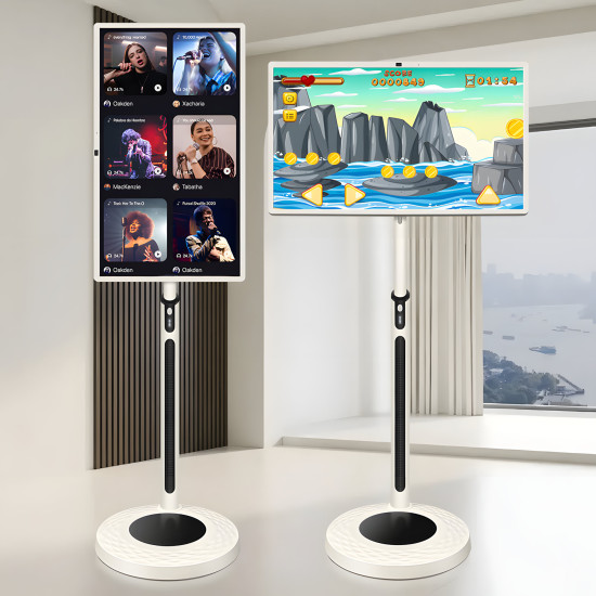 Portable Monitor 24"	